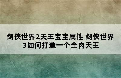 剑侠世界2天王宝宝属性 剑侠世界3如何打造一个全肉天王